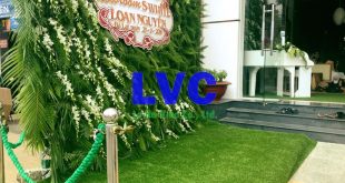 Vách cỏ nhân tạo, Mua vách cỏ nhân tạo, Lê Hà Vina, Cỏ nhân tạo trang trí, Thảm cỏ