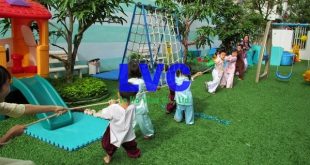 Cỏ nhân tạo trang trí, Cỏ nhân tạo trang trí trường mầm non, Cỏ giả để trang trí, Cỏ nhân tạo, Lê Hà Vina