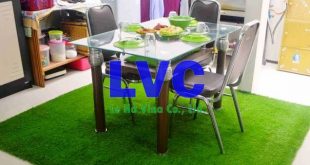 Cỏ nhân tạo phổ biến, Cỏ nhân tạo trong nhà, Cỏ nhân tạo sân golf, Cỏ nhân tạo sân vườn, Cỏ nhân tạo sân bóng đá