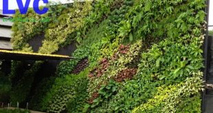 cỏ trang trí dán tường, tường cỏ trang trí, cỏ nhân tạo, mảng tường cỏ giả, tấm thảm cỏ nhựa