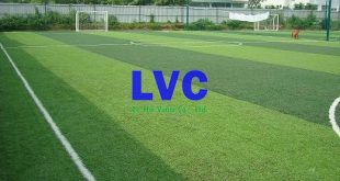 Làm sân banh cỏ nhân tạo, Mua cỏ nhân tạo, Cỏ nhân tạo, Lê Hà Vina, Sân cỏ nhân tạo mini, Cỏ nhân tạo LH12UC