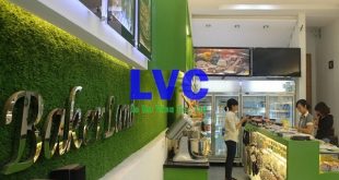 Vách cỏ nhân tạo, Vệ sinh vách cỏ nhân tạo, Lắp đặt vách cỏ nhân tạo, Vách tường cây giả, Tường cỏ giả