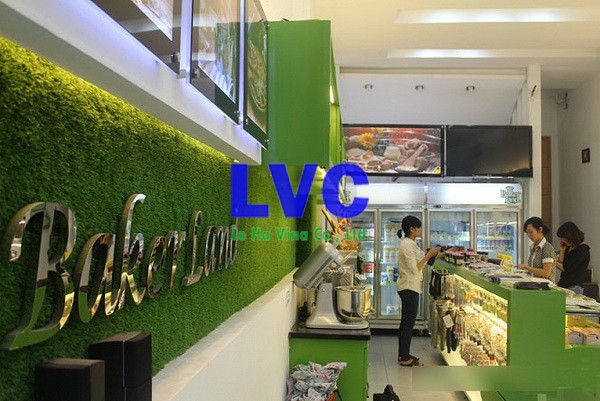 Vách cỏ nhân tạo, Vệ sinh vách cỏ nhân tạo, Lắp đặt vách cỏ nhân tạo, Vách tường cây giả, Tường cỏ giả