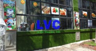 Thảm cỏ giả trang trí, Thảm cỏ giả, Tường cỏ giả, Vách cỏ nhân tạo, Vườn tường cây giả