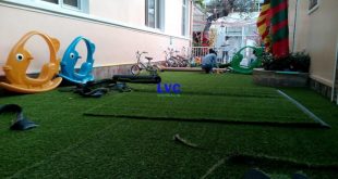 Thi công cỏ nhân tạo trang trí sân nhà, Công ty Lê Hà Vina, Cỏ nhân tạo trang trí sân nhà, Thảm cỏ nhân tạo trang trí, Trang trí sân vườn