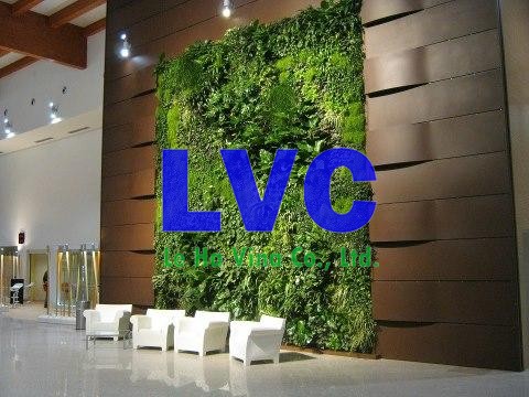 Tường cây giả, Tường cỏ trang trí nhân tạo, Vườn tường cây giả, Tường cây tự nhiên, Tường cây thật