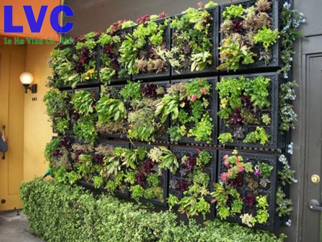 tường cây giả trong nhà, tường cây giả, bức tường cây giả, lớp tường cỏ nhựa, cỏ nhân tạo