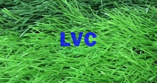 Cỏ nhân tạo sân vườn lh71at, Cỏ nhân tạo sân vườn, Công ty Lê Hà Vina, Cỏ nhựa để trang trí