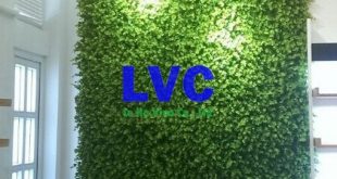 Cỏ nhân tạo trang trí tường, Cỏ nhân tạo, Thi công cỏ nhân tạo trang trí tường, Cỏ nhân tạo để trang trí tường, Công ty Lê Hà Vina
