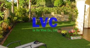 Sân cỏ nhân tạo, Công ty Lê Hà Vina, Cỏ nhân tạo LH02AT, Cỏ nhân tạo giá rẻ, Thi công sân vườn