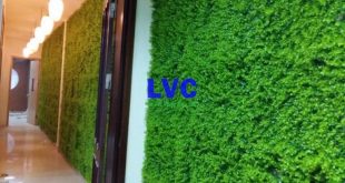 Tường cỏ nhân tạo, Lê Hà Vina, Cỏ nhân tạo, Cỏ nhân tạo để trang trí, Mua cỏ nhân tạo