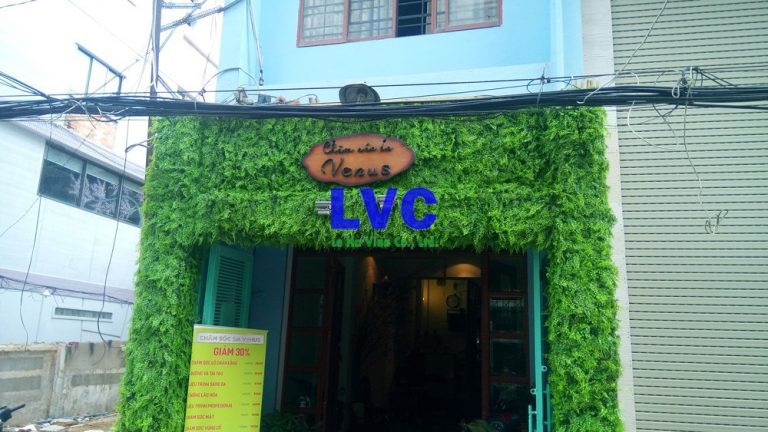 Tường cỏ nhân tạo, Lê Hà Vina, Cỏ nhân tạo, Cỏ nhân tạo để trang trí, Mua cỏ nhân tạo