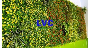 Tường cỏ trang trí, Mua tường cỏ trang trí, Lê Hà Vina, Cỏ nhân tạo, Thi công tường cỏ nhân tạo