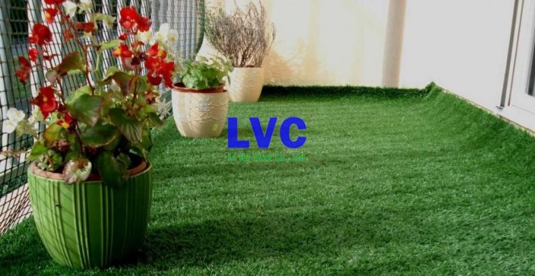 Thảm cỏ mỏng lót sàn, Thi công sân vườn, Công ty Lê Hà Vina, Thảm cỏ mỏng, Thảm cỏ