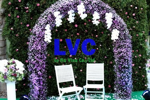 Thảm cỏ trang trí, Thảm cỏ nhân tạo, Công ty Lê Hà Vina, Mua thảm cỏ nhân tạo, Thảm cỏ
