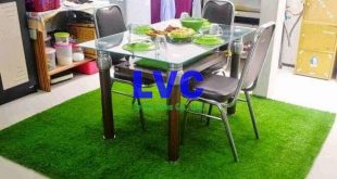 Cỏ nhân tạo trang trí trong nhà, Cỏ nhân tạo, Cỏ nhân tạo trang trí, Công ty Lê Hà Vina, Cỏ tự nhiên