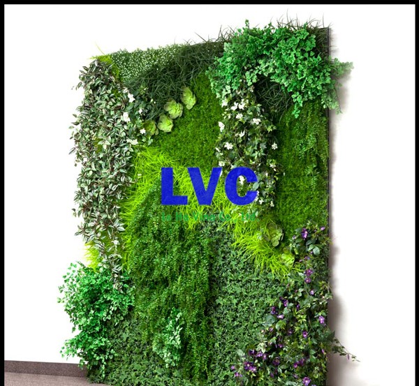 Cỏ nhân tạo dán tường, Cỏ nhân tạo giá rẻ ở Hà Nội, Lê Hà Vina, Thảm cỏ nhân tạo, Thi công cỏ nhân tạo dán tường