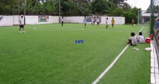 Sân cỏ nhân tạo, Chăm sóc sân vườn cỏ nhân tạo, Lê Hà Vina, Cỏ giả, Thảm cỏ nhân tạo