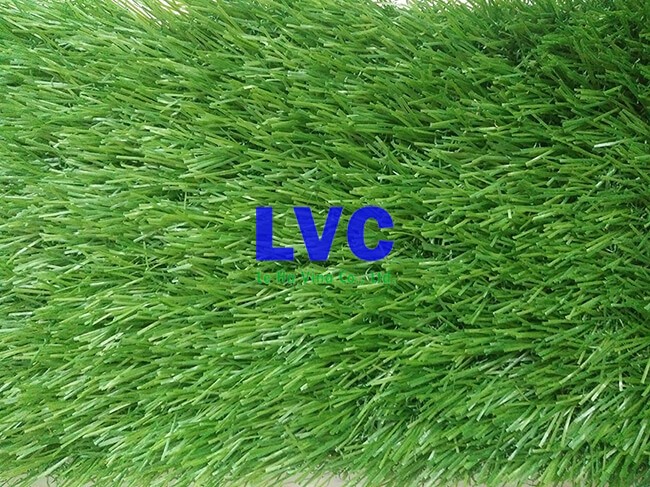 Cỏ nhân tạo bị hỏng, Cỏ nhân tạo, Lê Hà Vina, Cỏ nhân tạo trang trí sân vườn, Cỏ giả làm mô hình