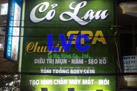 Trang trí cỏ nhân tạo, Cỏ nhân tạo, Công ty Lê Hà Vina, Cỏ tự nhiên, Cỏ nhân tạo trang trí shop mỹ phẩm