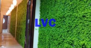 Thảm cỏ treo tường, Công ty Lê Hà Vina, Thảm cỏ nhân tạo, Thảm cỏ nhân tạo treo tường, Cỏ nhân tạo trang trí