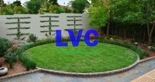 Mua cỏ nhân tạo sân vườn giá rẻ, Cỏ nhân tạo sân vườn, Lê Hà Vina, Cỏ nhân tạo trang trí, Cỏ sân vườn giá rẻ