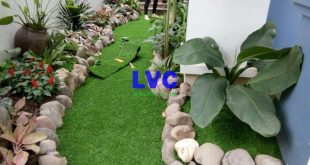 Cỏ nhân tạo sân vườn, Lê Hà Vina, Cỏ nhân tạo, Cỏ nhân tạo sân vườn LH05, Cỏ nhân tạo sân vườn LH04