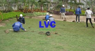 Cỏ nhân tạo sân vườn, Thi công cỏ nhân tạo, Công ty Lê Hà Vina, Sân cỏ nhân tạo, Cỏ nhân tạo sân bóng đá, Thảm cỏ treo tường