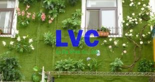 Thảm cỏ nhựa trang trí tường, Thảm cỏ, Thảm cỏ giả, Thảm cỏ trang trí tường, Cỏ nhân tạo