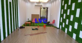 Mua cỏ nhân tạo trang trí, Cỏ nhân tạo, Cỏ nhân tạo trang trí giá rẻ, Địa chỉ bán cỏ giả, Cỏ nhân tạo trang trí