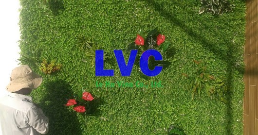 Thi công thảm cỏ trang trí tường, Vách tường cần trang trí, Thảm cỏ trang trí tường, Thảm cỏ nhân tạo có gân, Thảm cỏ nhân tạo sợi đúc