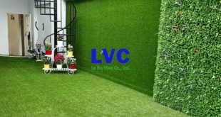 Thảm cỏ nhựa, Thảm cỏ nhựa trang trí tường, Cỏ nhân tạo, Cung cấp cỏ nhân tạo, Cỏ trang trí sân vườn