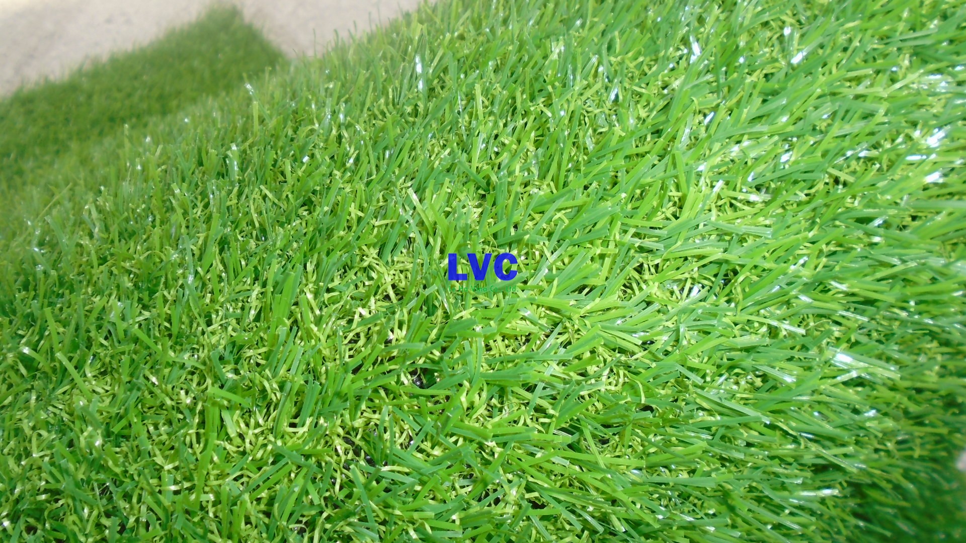 Cỏ nhân tạo giá bao nhiêu, Cỏ nhân tạo sân bóng, Cỏ nhân tạo sân vườn, Lê Hà Vina, Cỏ nhân tạo giá rẻ