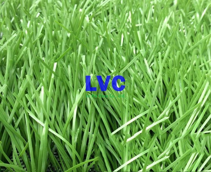 Cỏ nhân tạo giá bao nhiêu, Cỏ nhân tạo sân bóng, Cỏ nhân tạo sân vườn, Lê Hà Vina, Cỏ nhân tạo giá rẻ