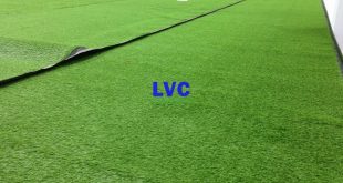 Thảm cỏ nhân tạo trang trí, Thảm cỏ nhân tạo, Lê Hà Vina, Thảm cỏ nhựa, Địa chỉ bán thảm cỏ nhân tạo