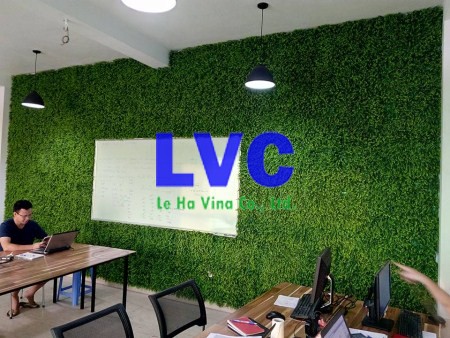 Thảm cỏ nhân tạo trang trí, Thảm cỏ nhân tạo, Lê Hà Vina, Thảm cỏ nhựa, Địa chỉ bán thảm cỏ nhân tạo