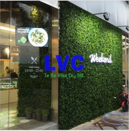 Thi công cỏ nhân tạo, Cung cấp cỏ nhân tạo, Cỏ nhân tạo LH04, Cỏ nhân tạo trang trí shop, Cỏ nhân tạo