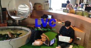 Cỏ nhân tạo để trang trí văn phòng, Cỏ nhân tạo, Lê Hà Vina, Sợi cỏ, Sân bóng cỏ nhân tạo