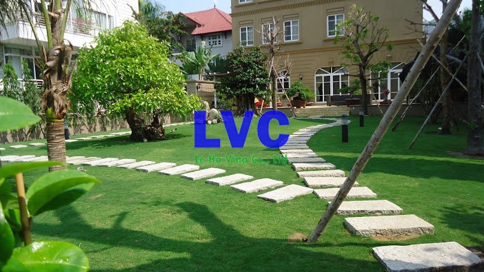 Thi công cỏ nhân tạo sân vườn, Cỏ nhân tạo sân vườn, Lắp đặt cỏ nhân tạo, Cỏ nhân tạo, Lê Hà Vina