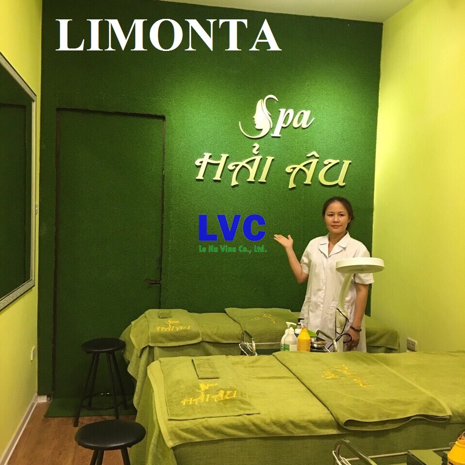Thảm cỏ nhân tạo, Trang trí spa bằng cỏ nhân tạo, Lê Hà Vina, Cỏ nhân tạo của Lê Hà Vina, Cỏ nhân tạo
