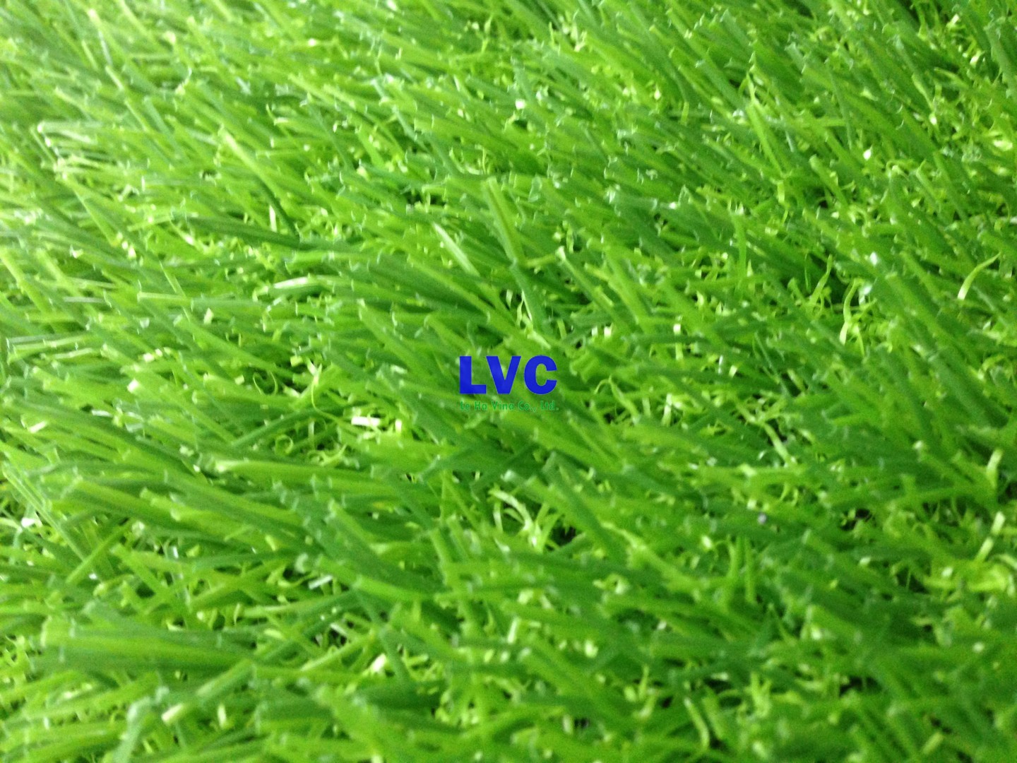 Mua cỏ nhân tạo ở đâu Hà Nội, Cỏ nhân tạo, Cỏ nhân tạo sân vườn, Thảm cỏ nhân tạo, Cỏ nhân tạo trang trí