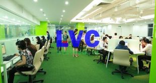 Cỏ nhân tạo trang trí văn phòng, Cỏ nhân tạo trang trí, Cỏ nhân tạo LH05, Thi công cỏ nhân tạo, Lê Hà Vina