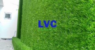 Vách cỏ nhân tạo, Lê Hà Vina, Cỏ nhân tạo, Thảm cỏ tự nhiên, Vách cỏ nhân tạo để trang trí