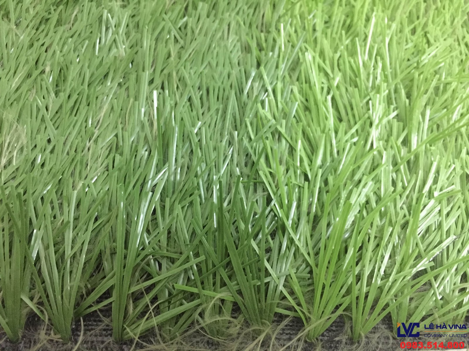 Cỏ nhân tạo chất lượng, Cỏ nhân tạo, Mua cỏ nhân tạo, Sản phẩm cỏ nhân tạo, Kinh doanh cỏ nhân tạo