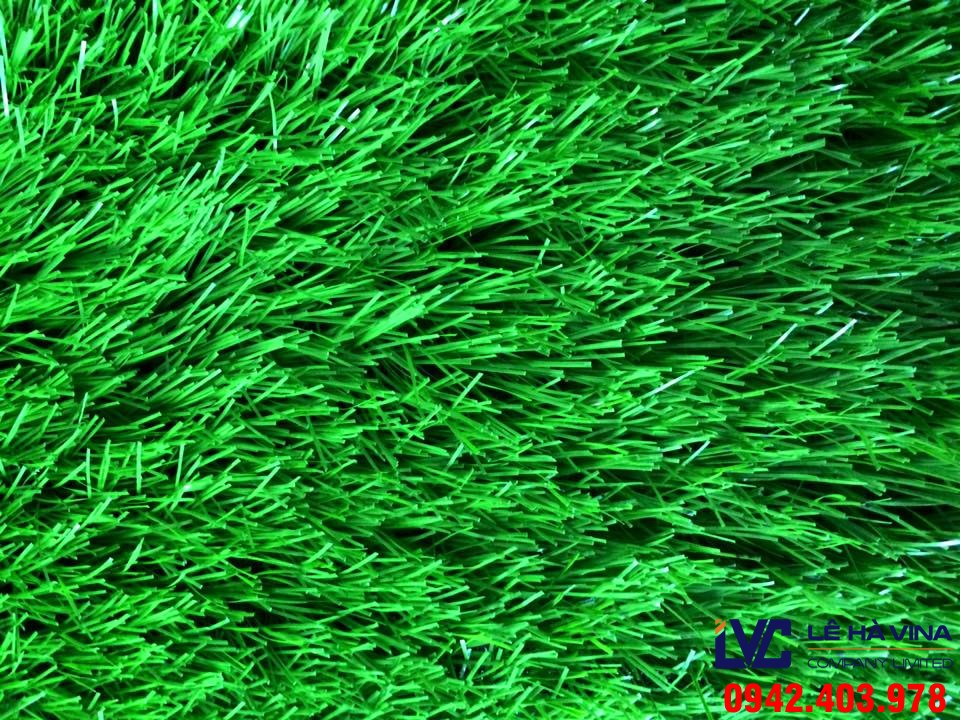Cỏ nhân tạo giá rẻ, Cỏ nhân tạo chất lượng, Lê Hà Vina, Cỏ nhân tạo thanh lý, Mua cỏ nhân tạo thanh lý