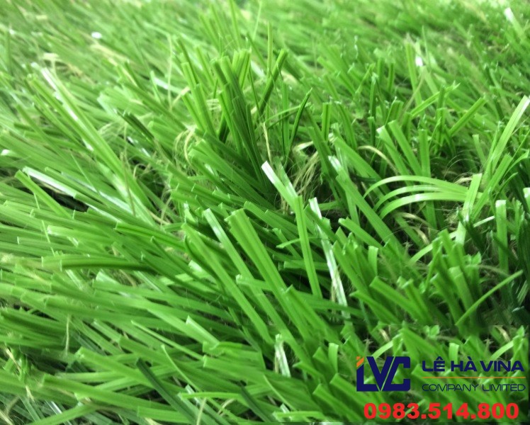 Cỏ nhân tạo sân bóng đá lh13uc, Cỏ nhân tạo sân bóng đá, Cỏ nhân tạo, Lê Hà Vina, Cỏ nhân tạo trong vườn nhà