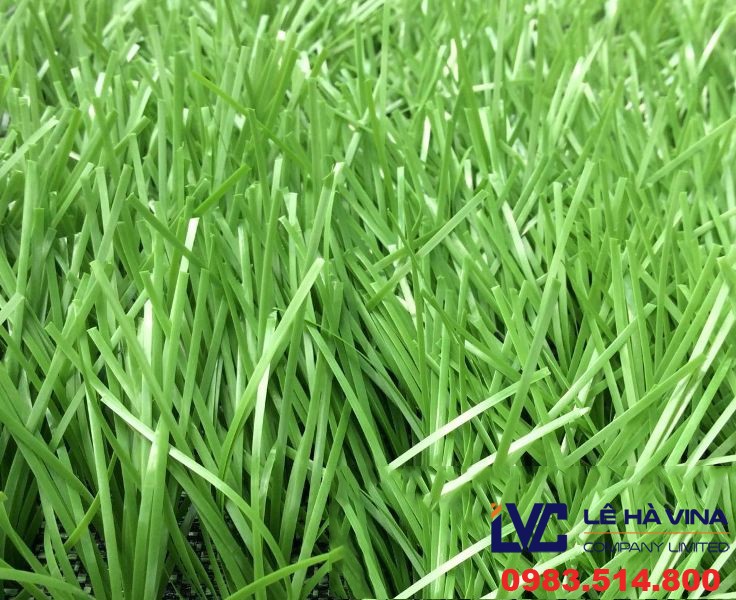 Cỏ nhân tạo sân bóng đá lh13uc, Cỏ nhân tạo sân bóng đá, Cỏ nhân tạo, Lê Hà Vina, Cỏ nhân tạo trong vườn nhà