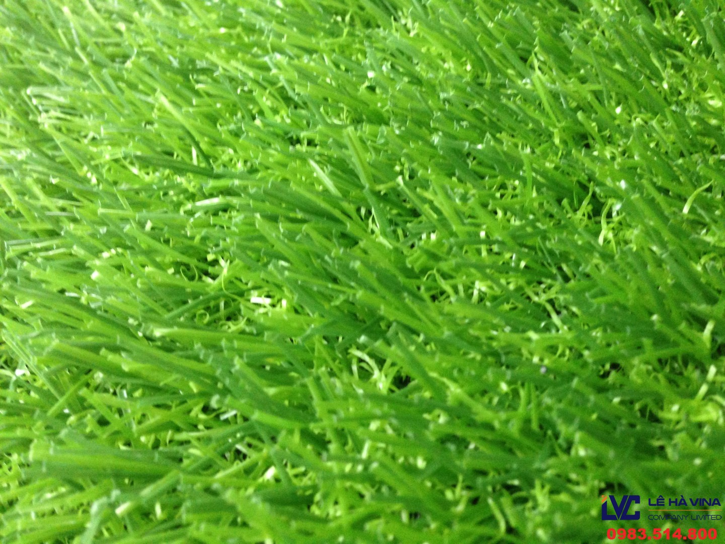 Mua cỏ nhân tạo, Cỏ nhân tạo, Sân cỏ nhân tạo, Cỏ nhân tạo giá rẻ, Lê Hà Vina
