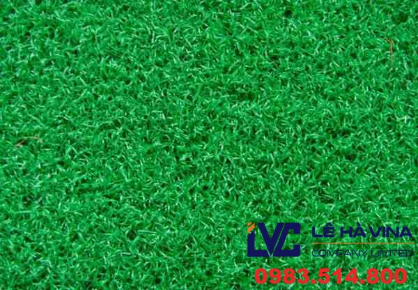 Cỏ nhân tạo, Giá bán cỏ nhân tạo, Sân cỏ nhân tạo, Cỏ nhân tạo sân golf, Cỏ nhân tạo sân vườn