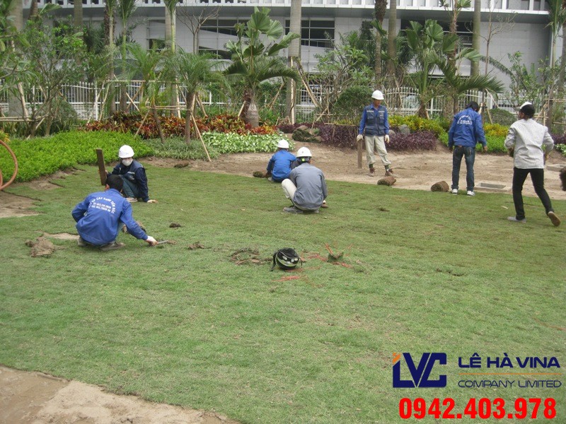 Cỏ nhân tạo, Thảm cỏ nhân tạo, Cỏ nhân tạo cho sân vườn nhà, Sân vườn cỏ nhân tạo, Lắp đặt sân cỏ nhân tạo
